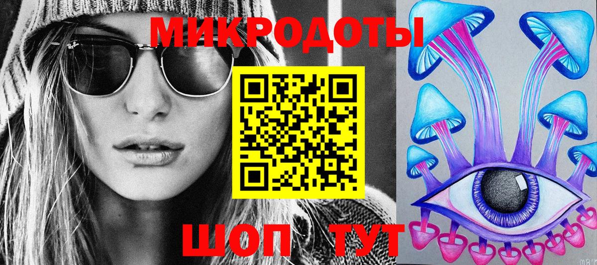 Галлюциногенные грибы Psilocybine cubensis Бийск