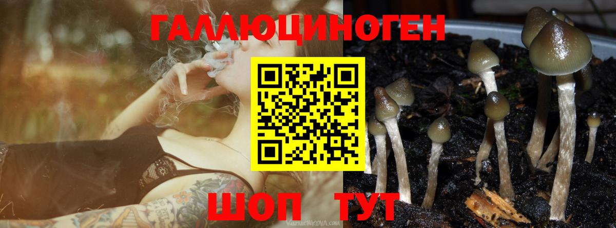 Бийск  Псилоцибиновые грибы Psilocybine cubensis  Галлюциногенные грибы Magic Shrooms  даркнет сайт  Вход с VPN 